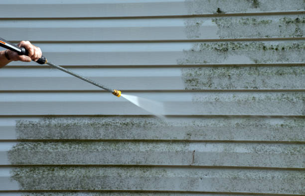 Best Fence Cleaning  in Orange Park, FL